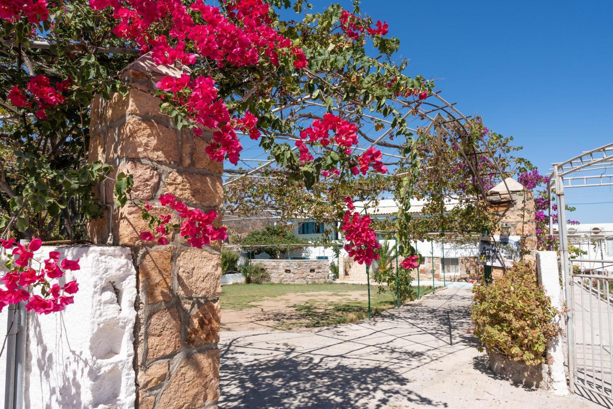 סקאלה Beachfront Lampis Dolphin 4 מראה חיצוני תמונה
